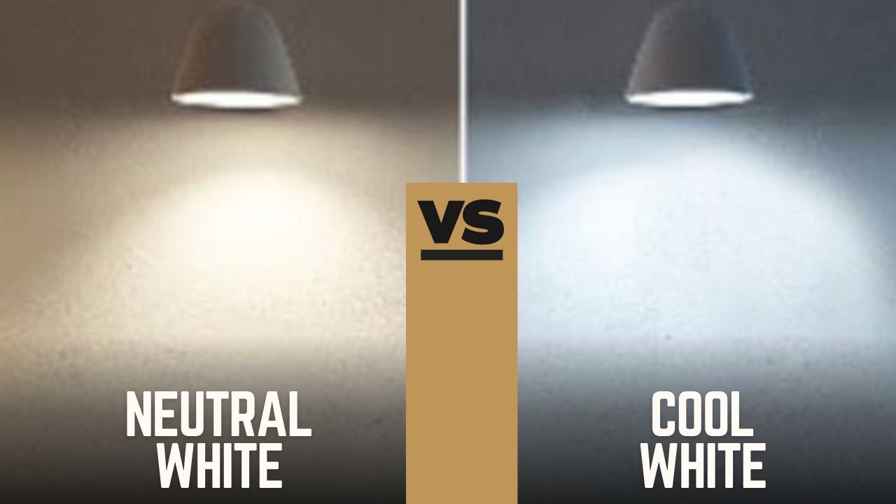 Cool White vs. Neutral White