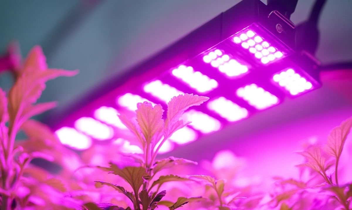 How to Mount LED Grow Light: A Step-by-Step Guide